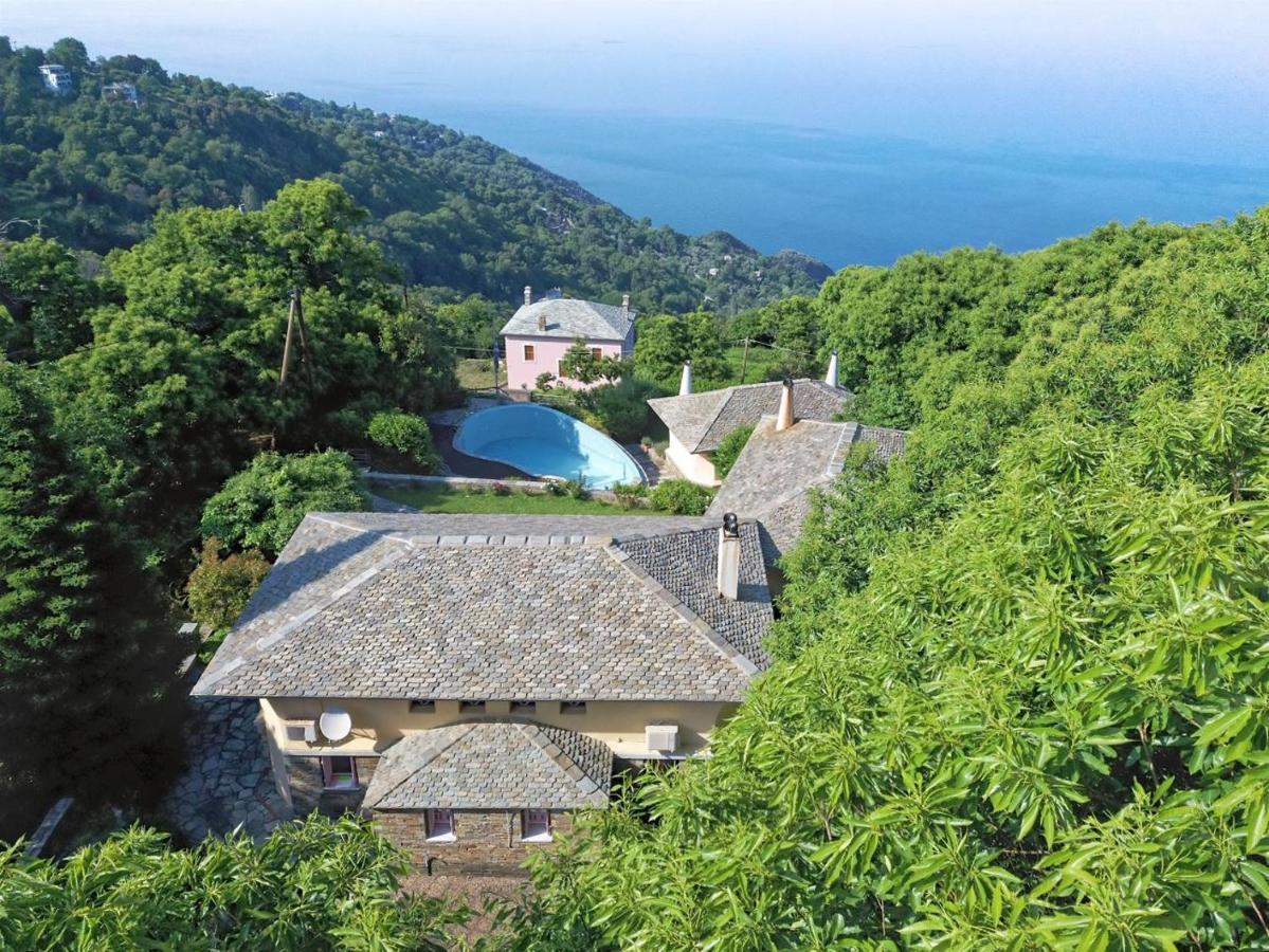 Tsagkarada Country Estate With Poolヴィラ エクステリア 写真