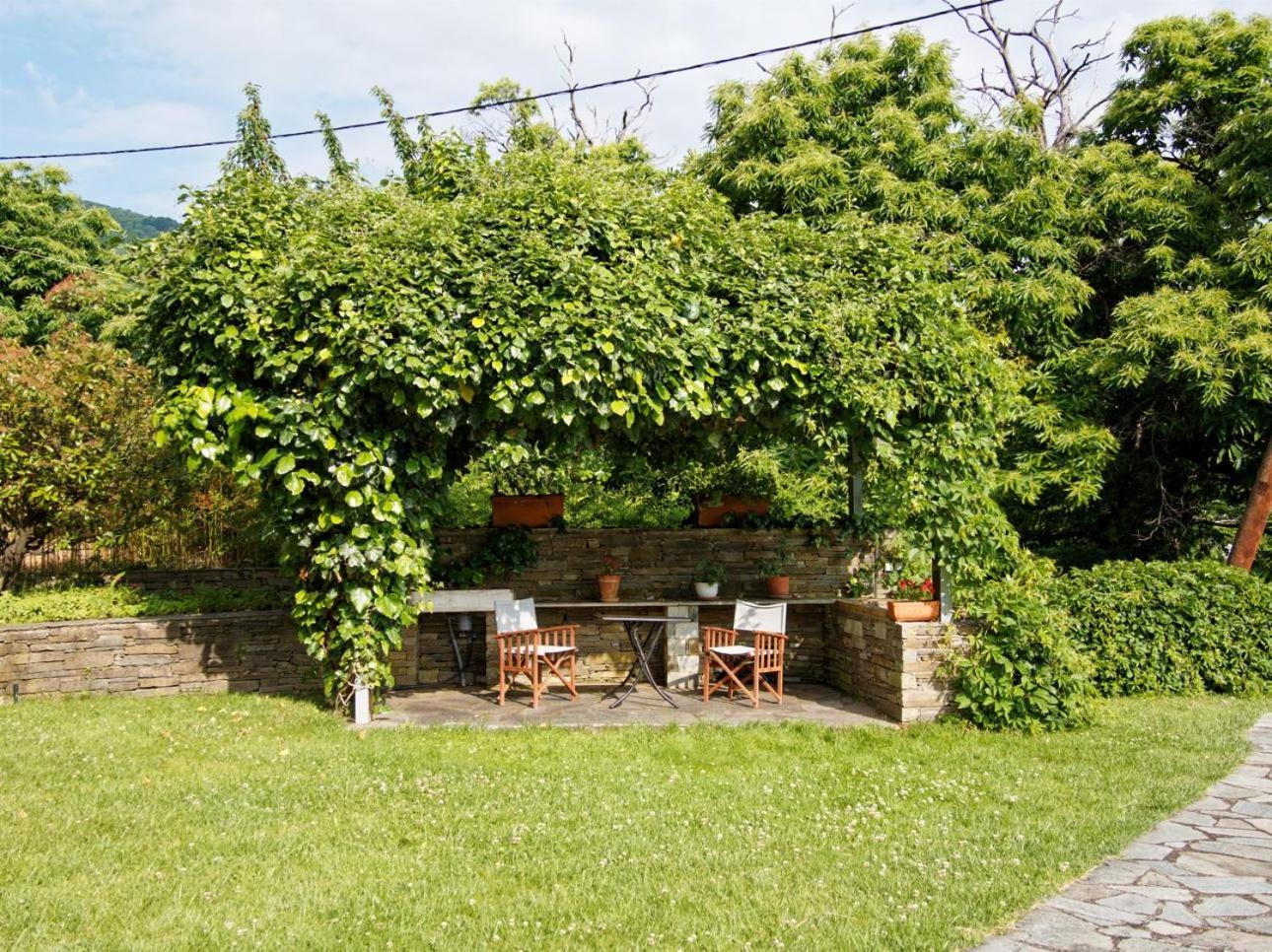 Tsagkarada Country Estate With Poolヴィラ エクステリア 写真